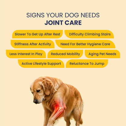 Joint Care Kit - Oil + Tablet: Maximizing Joint Care in Pets