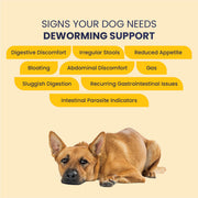 Deworming Kit