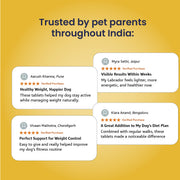 Obipet: Ayurvedic Weight Management Tablets for Dogs – 60 Tabs