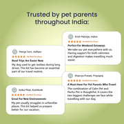 Travel with Pet Kit