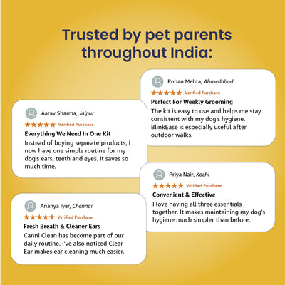 The MEE Routine: Your Dog’s Everyday Hygiene Ritual