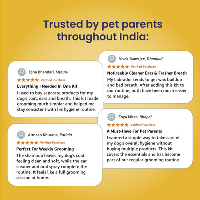Dog Grooming Kit
