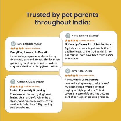 Dog Grooming Kit