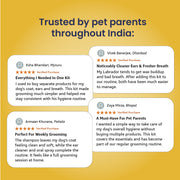 Dog Grooming Kit