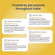 Joint Care Kit - Oil + Tablet: Maximizing Joint Care in Pets
