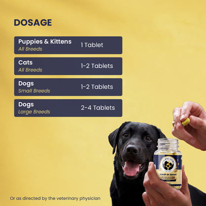 Jump-O-Joint Tablet: Relieves Joint Pain in Dogs & Cats (60 Tab/81gm)