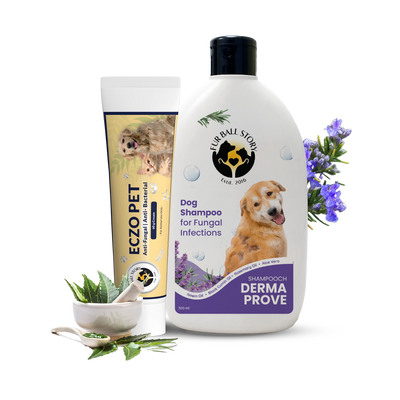 Dermaprove Shampooch: Antifungal Dog Shampoo - 300ml.