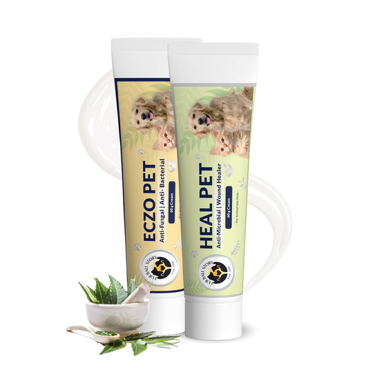 Injury & Infection Protection Kit