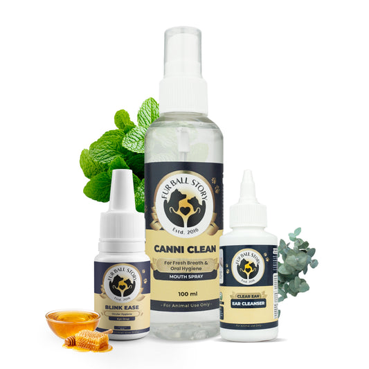The MEE Routine: Your Dog’s Everyday Hygiene Ritual