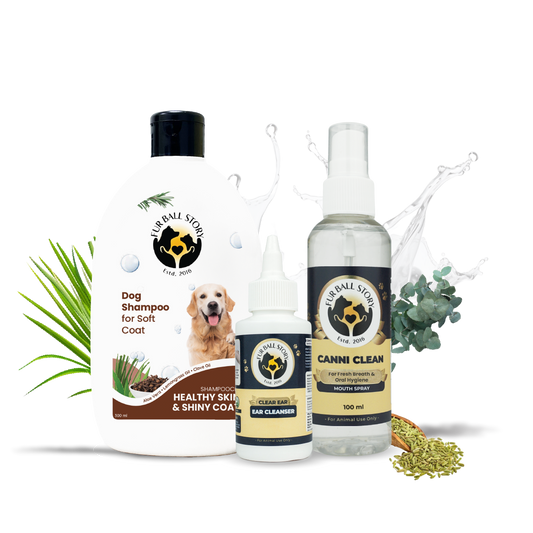 Dog Grooming Kit