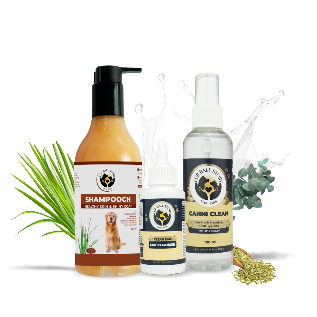 Dog Grooming Kit