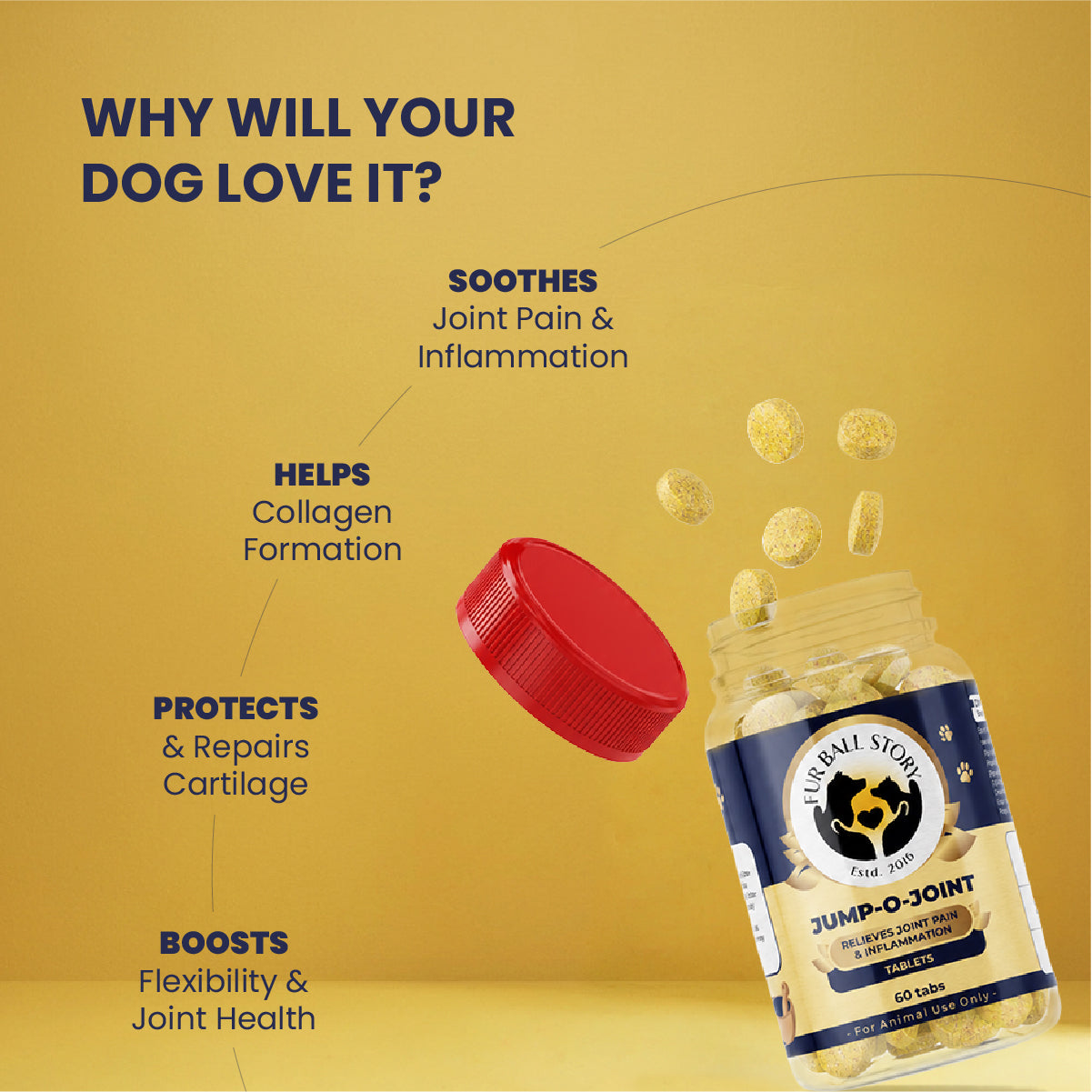 Jump-O-Joint Tablet: Relieves Joint Pain in Dogs & Cats (60 Tab/81gm)