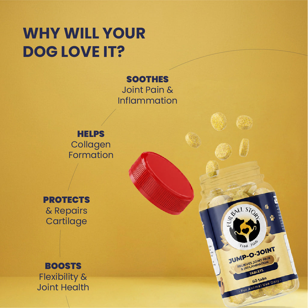 Jump-O-Joint Tablet: Relieves Joint Pain in Dogs & Cats (60 Tab/81gm)