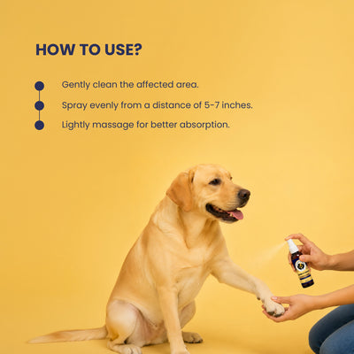 Jump O Joint (Oil): For Joint Pain Relief in Dogs & Cats - 100ml