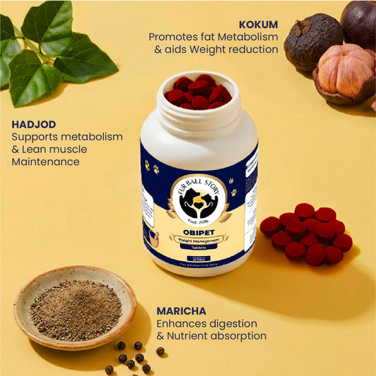 Dog Weight Loss Supplement, Weight Loss Supplement for Dogs, Dog Weight Control Supplement, Healthy Weight Supplement for Dogs