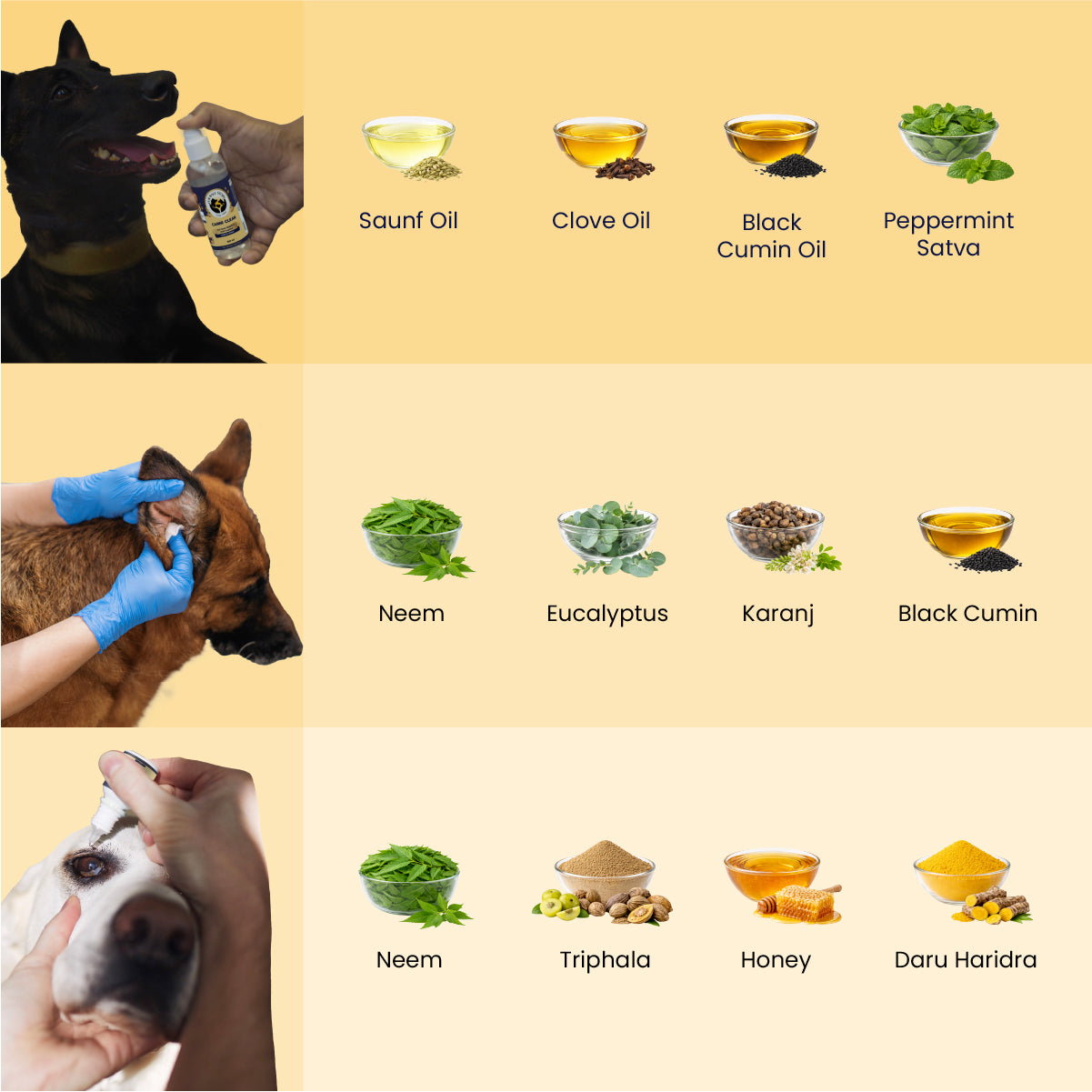 The MEE Routine: Your Dog’s Everyday Hygiene Ritual