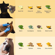 The MEE Routine: Your Dog’s Everyday Hygiene Ritual