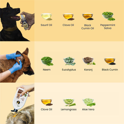 Dog Grooming Kit