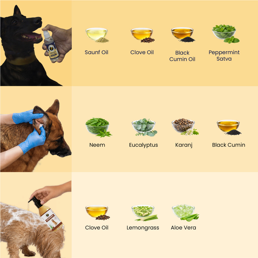 Dog Grooming Kit
