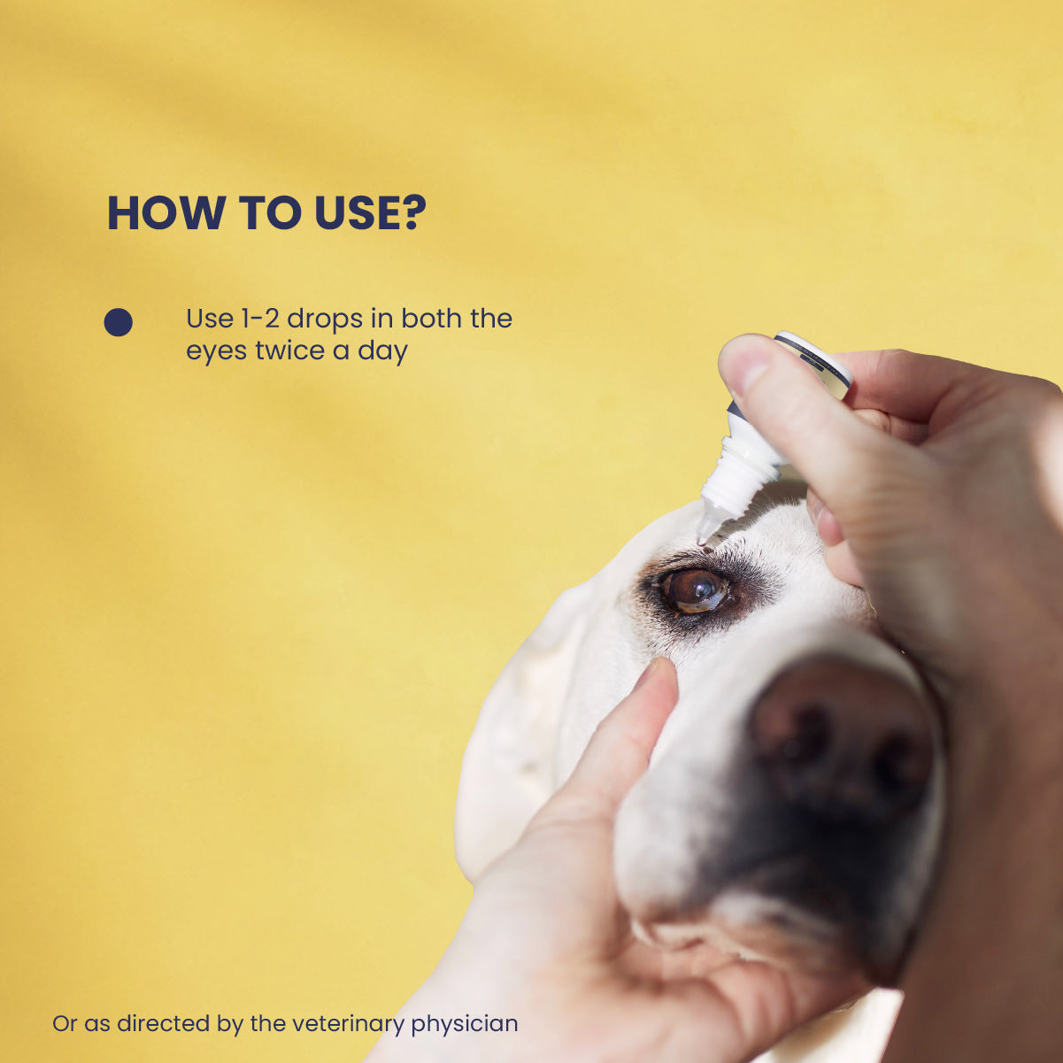 Blink Ease: Eye Drops For Dogs That Cleans & Protects Eyes Naturally