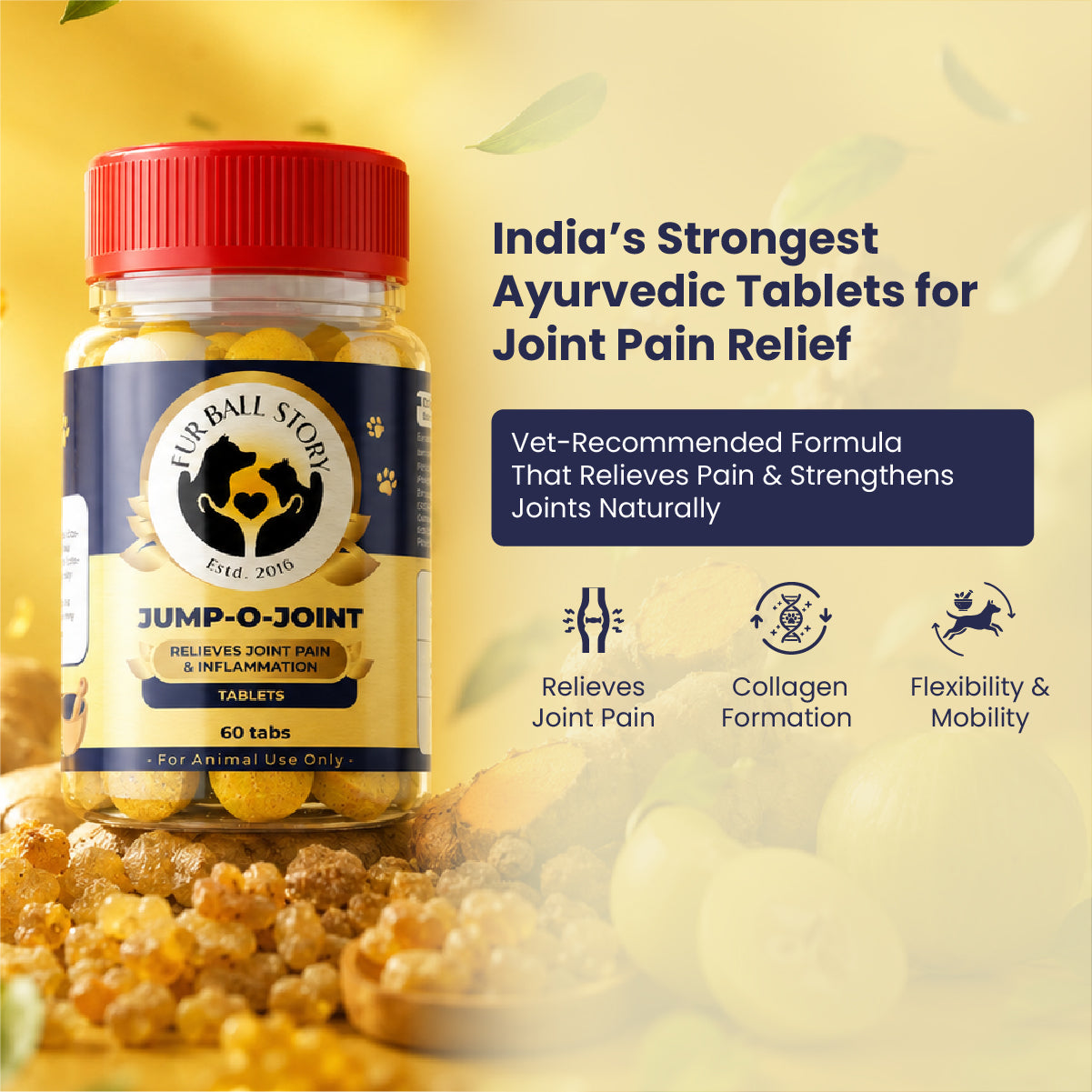 Jump-O-Joint Tablet: Relieves Joint Pain in Dogs & Cats (60 Tab/81gm)