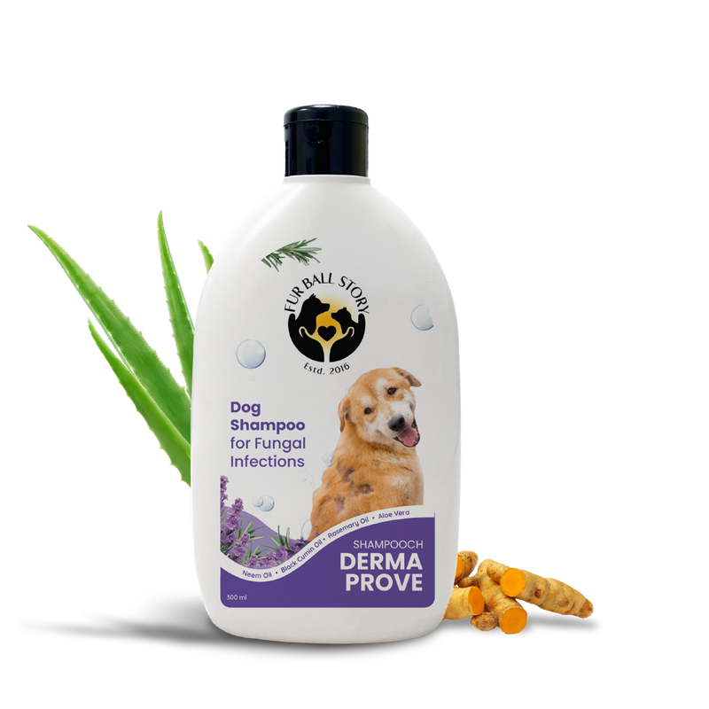 Dermaprove Shampooch: Antifungal Dog Shampoo - 300ml.