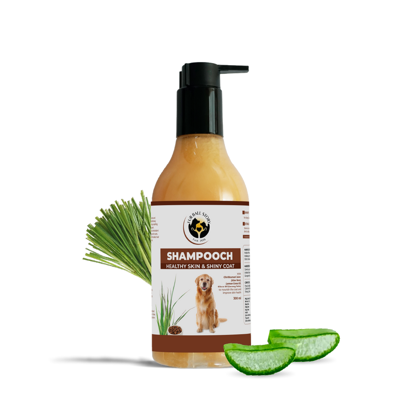 Shampooch: Best Dog Shampoo For Healthy Skin & Shiny Coat - 300ml
