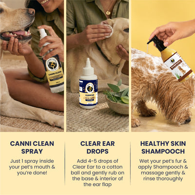 Dog Grooming Kit