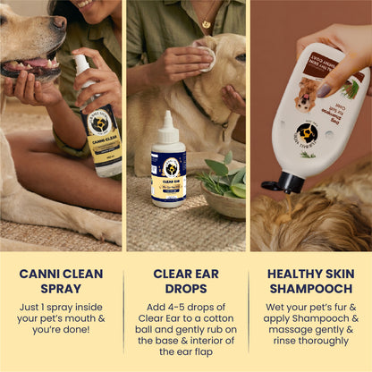 Dog Grooming Kit