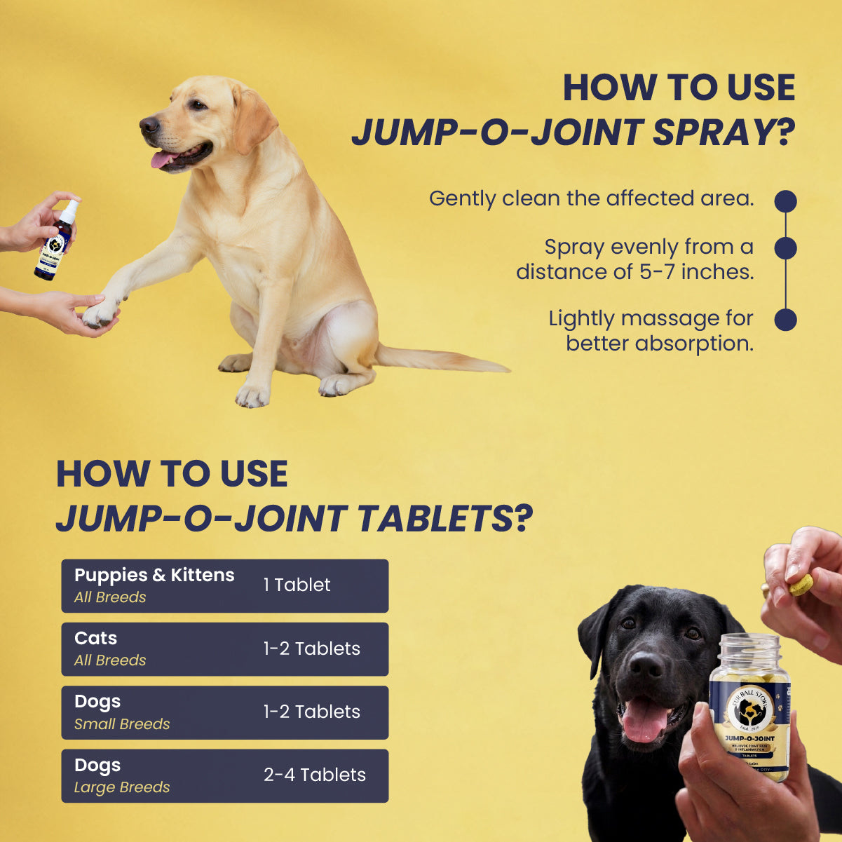 Joint Care Kit - Oil + Tablet: Maximizing Joint Care in Pets