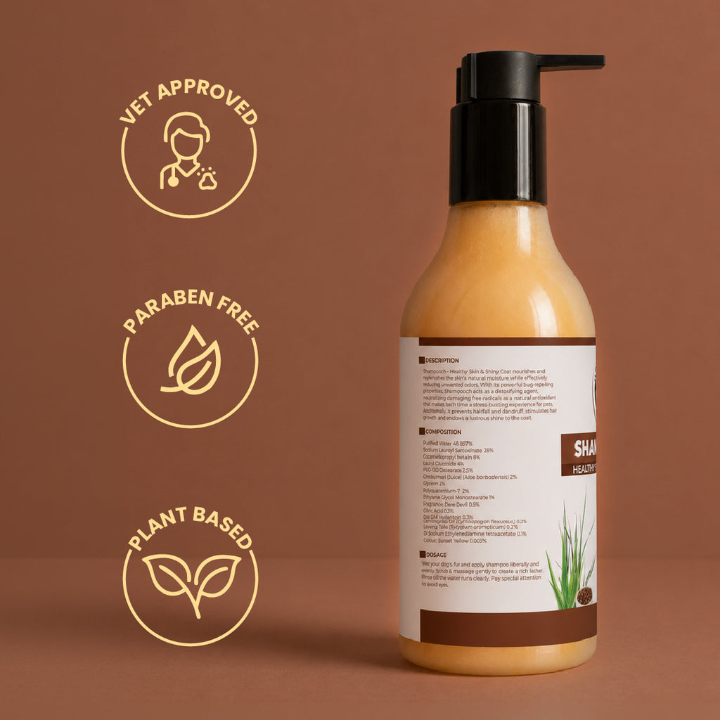 Shampooch: Best Dog Shampoo For Healthy Skin & Shiny Coat - 300ml