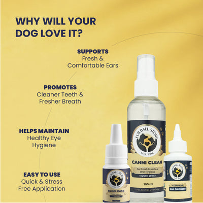 The MEE Routine: Your Dog’s Everyday Hygiene Ritual