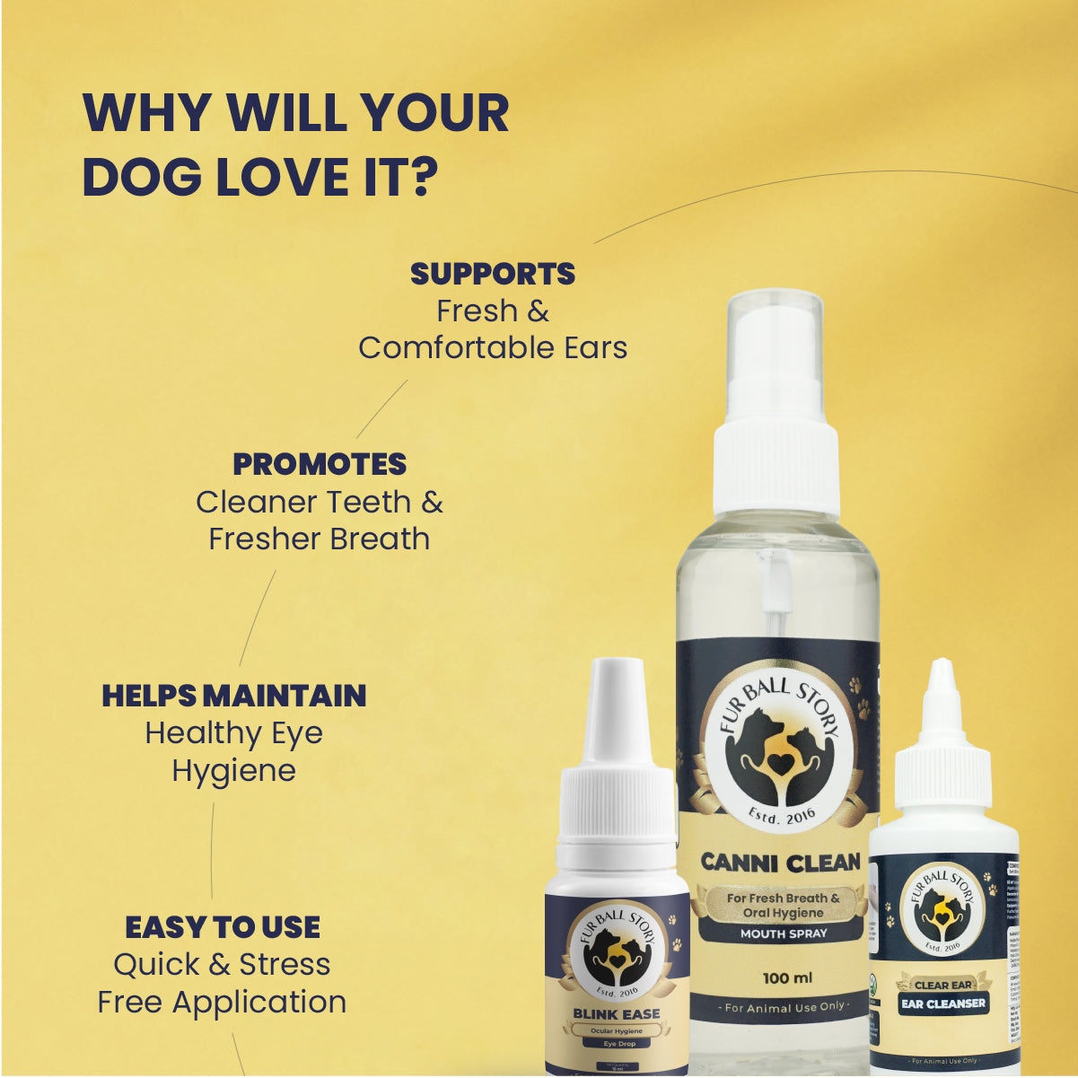 The MEE Routine: Your Dog’s Everyday Hygiene Ritual