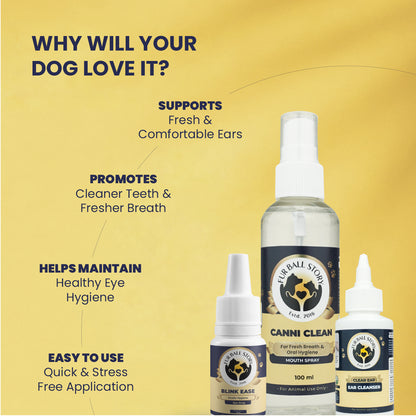 The MEE Routine: Your Dog’s Everyday Hygiene Ritual