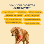 Jump-O-Joint Tablet: Relieves Joint Pain in Dogs & Cats (60 Tab/81gm)