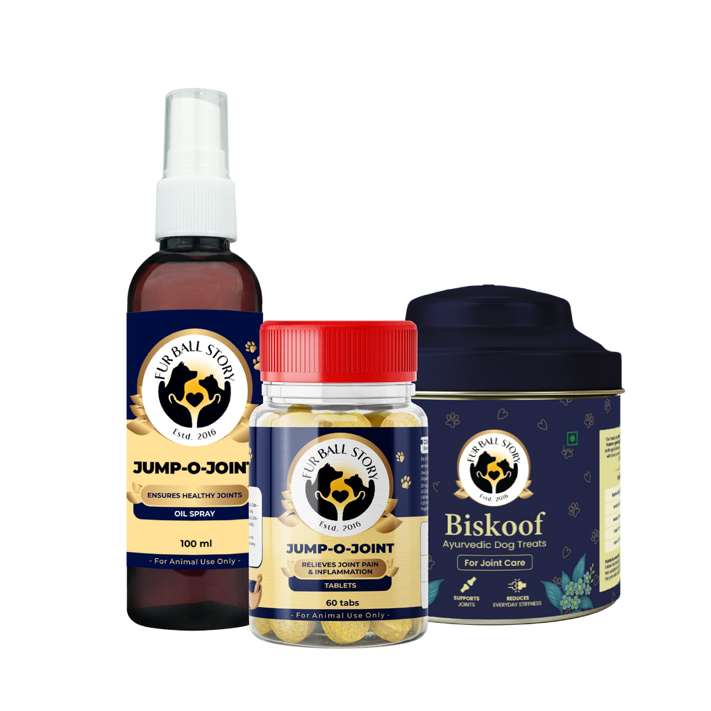 Jump-O-Joint Tablet: Relieves Joint Pain in Dogs & Cats (60 Tab/81gm)