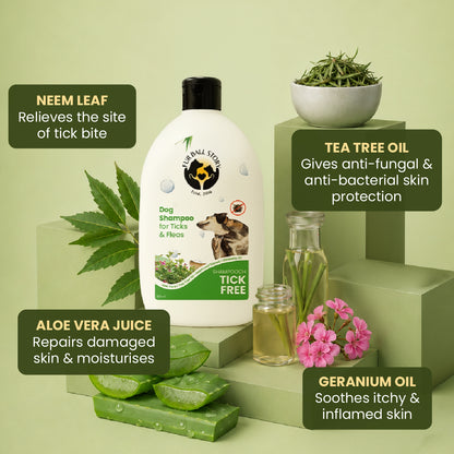 Shampooch Tick Free (BUY 2 GET 1 FREE)