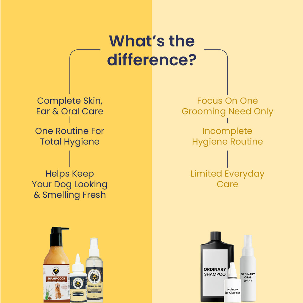 Dog Grooming Kit