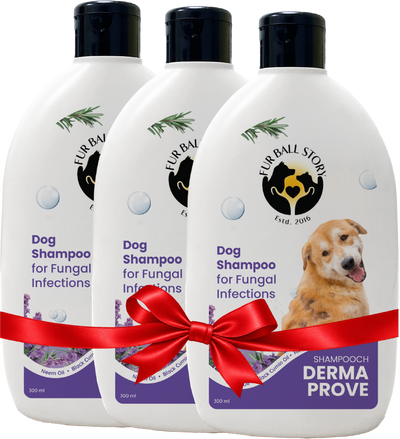 Dermaprove Shampooch: Antifungal Dog Shampoo - 300ml.