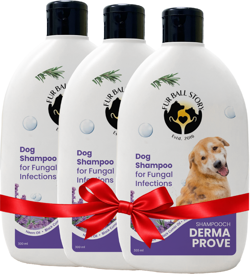 Dermaprove Shampooch: Antifungal Dog Shampoo - 300ml.