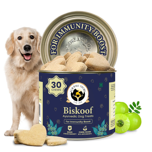 Biskoof - Immunity Boost | India's Healthiest Treats for Dogs - 150 Gm