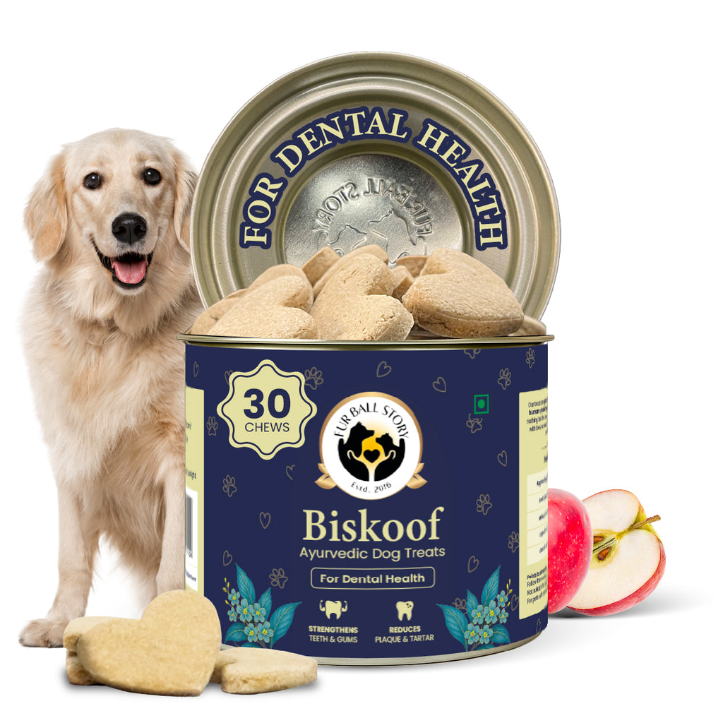 Biskoof Dental health - India's Healthiest Treats for Dogs