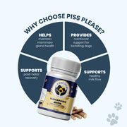 A conceptual diagram showcasing four key benefits: mammary gland health, nutritional support, healthy milk flow, and post-natal recovery, centered around the MamaPaws supplement bottle.