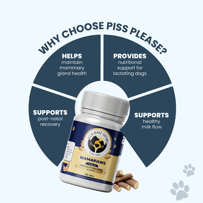 A conceptual diagram showcasing four key benefits: mammary gland health, nutritional support, healthy milk flow, and post-natal recovery, centered around the MamaPaws supplement bottle.