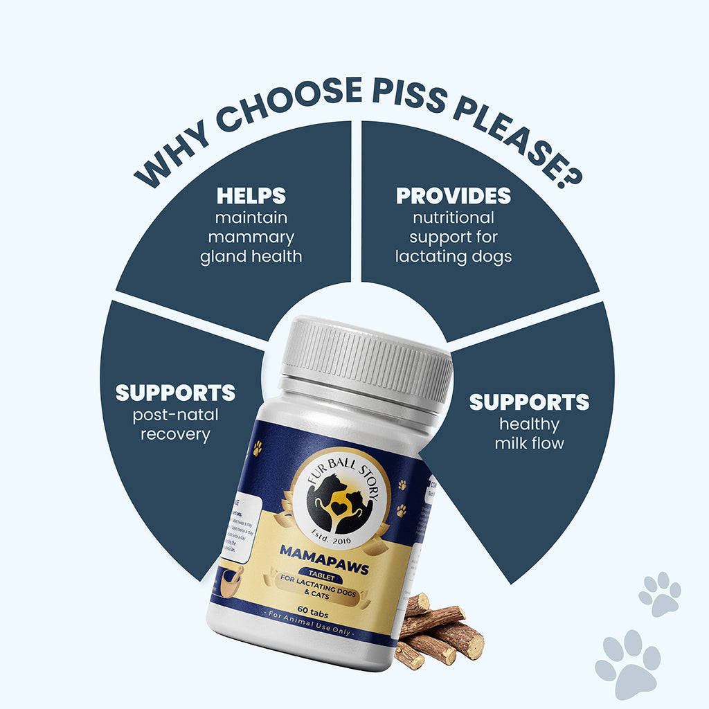 A conceptual diagram showcasing four key benefits: mammary gland health, nutritional support, healthy milk flow, and post-natal recovery, centered around the MamaPaws supplement bottle.