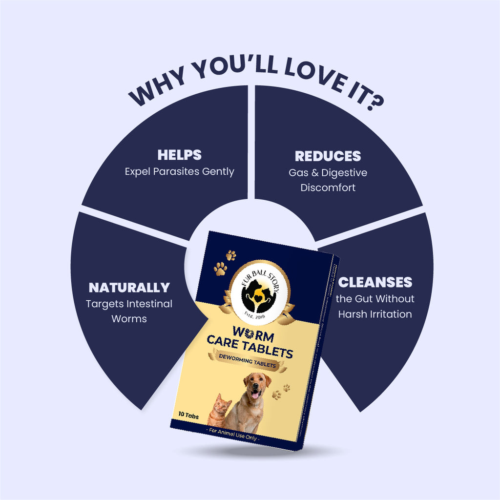 A circular infographic detailing how the tablets work: they naturally target intestinal worms and gently expel parasites. The graphic highlights that the formula cleanses the gut and reduces digestive discomfort without harsh irritation.