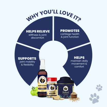 A "Why You’ll Love It" circular infographic framing the product line with four core promises: stiffness relief, cartilage promotion, mobility support, and daily comfort. It serves as a visual summary of the brand's holistic approach to pet wellness.