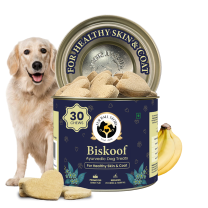 Biskoof - Healthy Skin & Shiny Coat | India's Healthiest Treats for Dogs - 150 Gm
