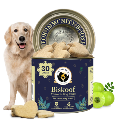 Biskoof - Immunity Boost | India's Healthiest Treats for Dogs - 150 Gm