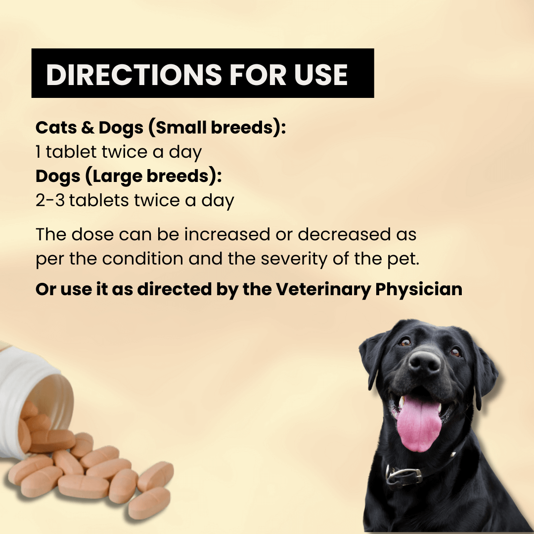 Medication to calm dogs down best sale